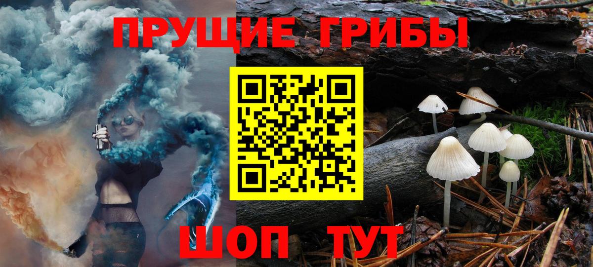 Ахтубинск  Псилоцибиновые грибы мухоморы  Вход с VPN  Псилоцибиновые грибы Cubensis 