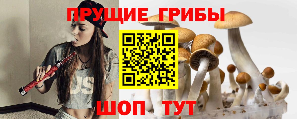 Галлюциногенные грибы Magic Shrooms Ахтубинск