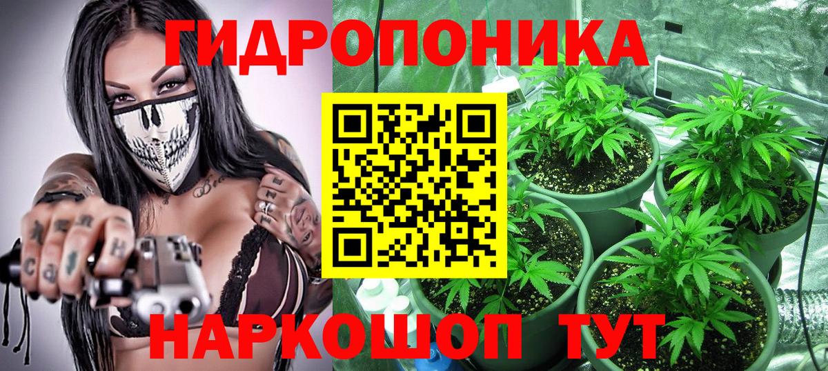 Шишки марихуана THC 21%  Бошки Шишки Ganja  Марихуана Amnesia  Канабис Amnesia  Вход с VPN  Ахтубинск 